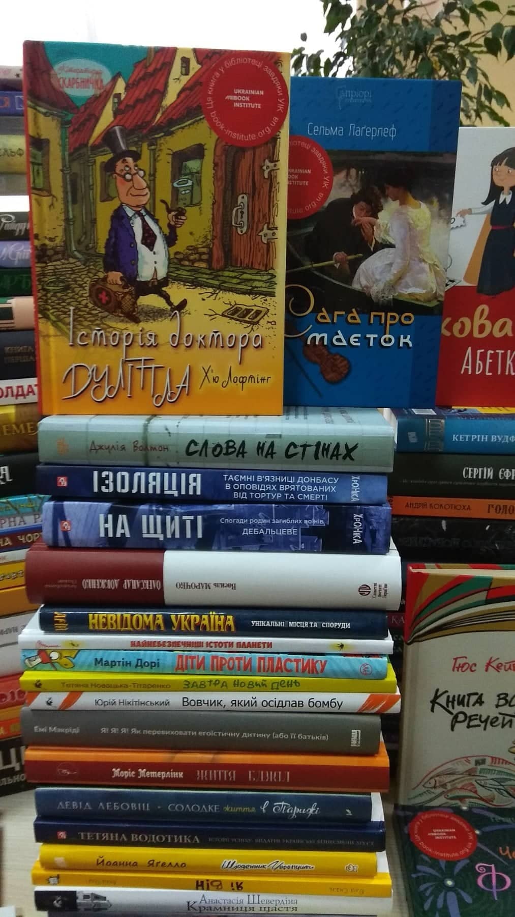 146364363 106791061433571 3801177139721121991 o